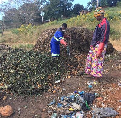 The Cost of Plastics in Compost